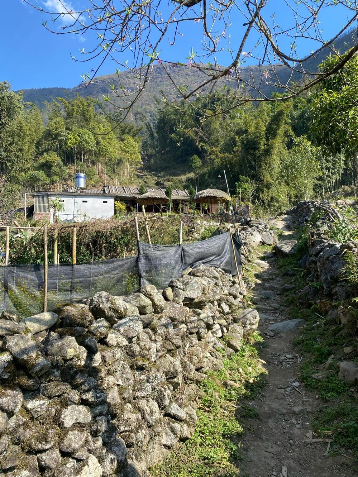 Sue Pa Family Trekking Homestay Sapa Exterior photo