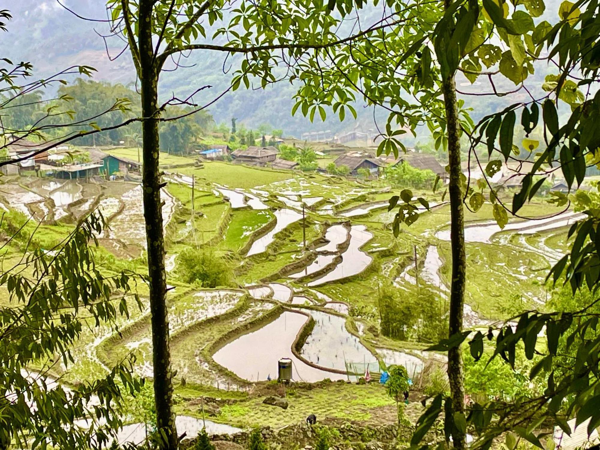 Sue Pa Family Trekking Homestay Sapa Exterior photo