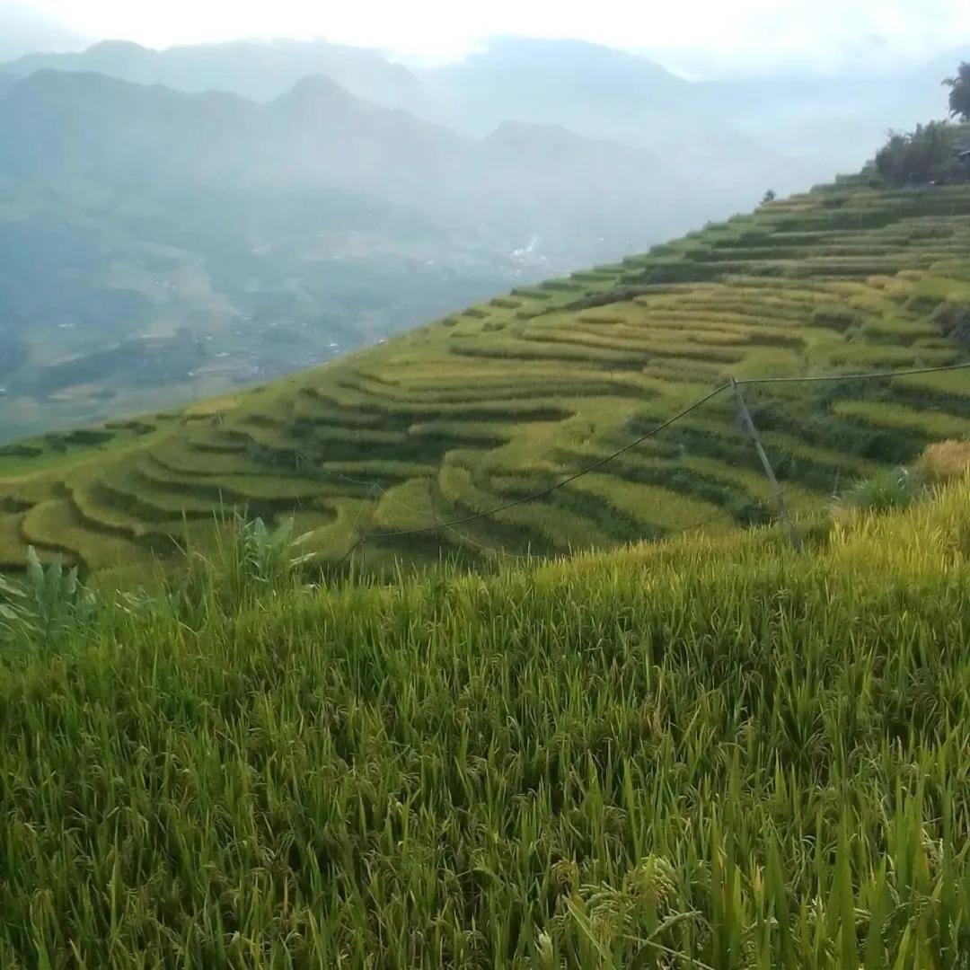 Sue Pa Family Trekking Homestay Sapa Exterior photo