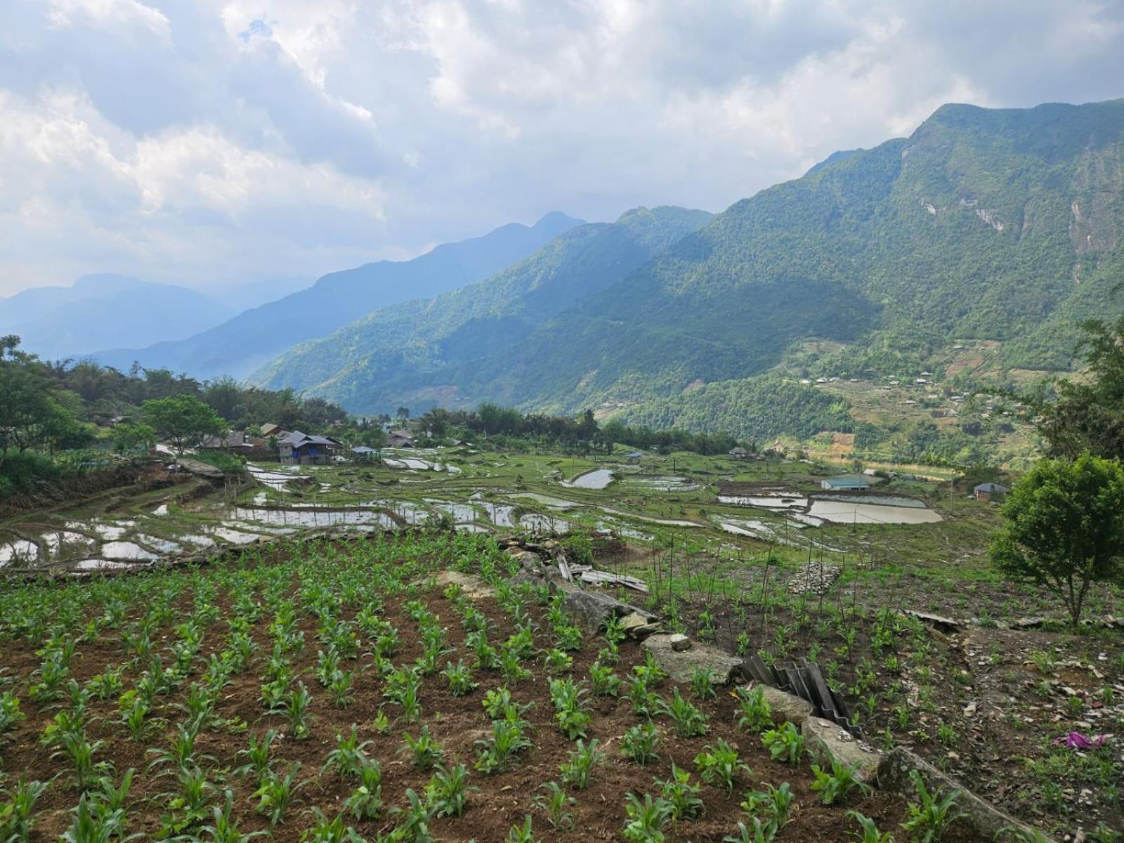 Sue Pa Family Trekking Homestay Sapa Exterior photo